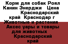 Корм для собак Роял Канин Энерджи › Цена ­ 3 500 - Краснодарский край, Краснодар г. Животные и растения » Аксесcуары и товары для животных   . Краснодарский край